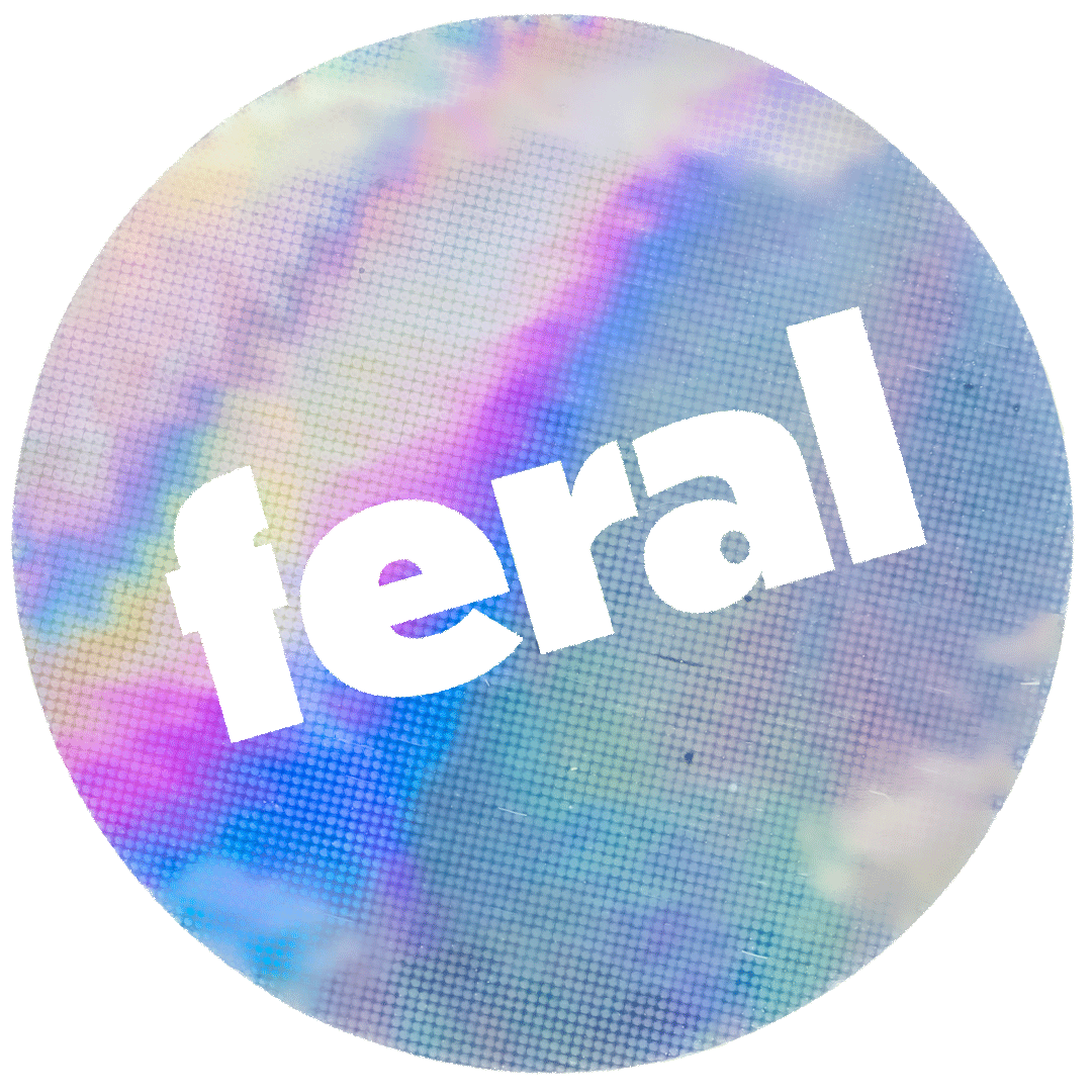 Feral Magazine / The Feed / Queer perspectives beyond rules